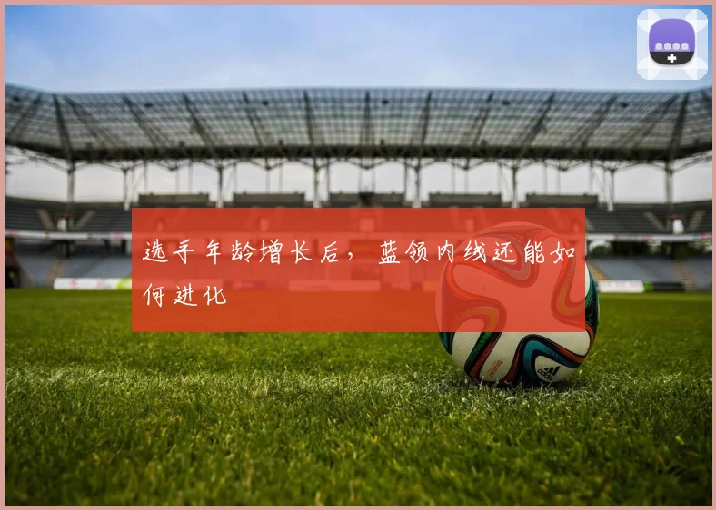 选手年龄增长后，蓝领内线还能如何进化
