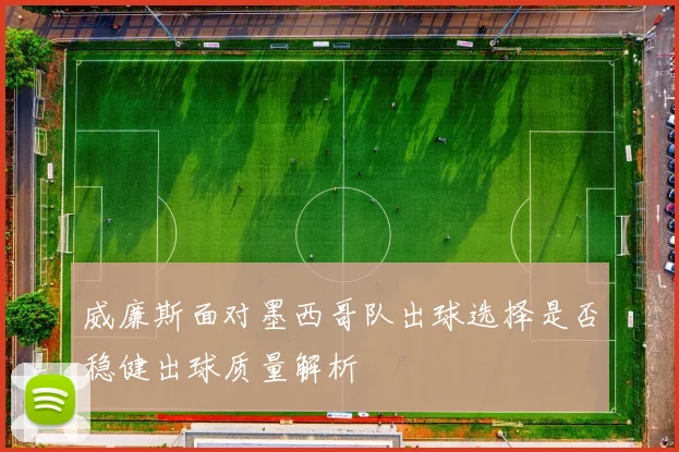 威廉斯面对墨西哥队出球选择是否稳健出球质量解析