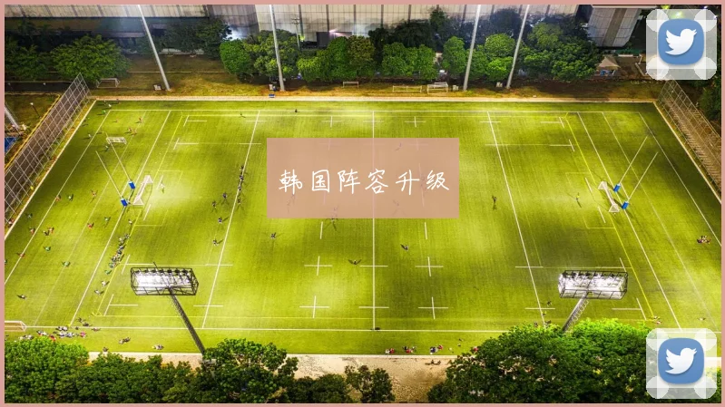 韩国阵容升级