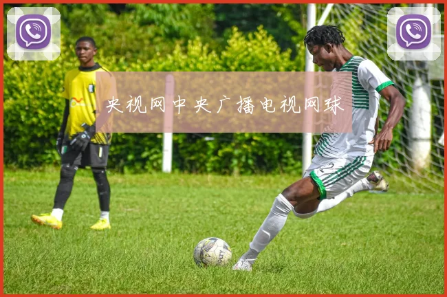 央视网中央广播电视网球