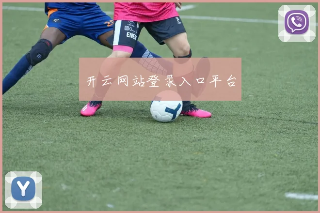 开云网站登录入口平台