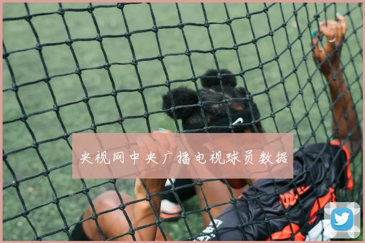 央视网中央广播电视球员数据