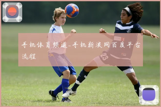 手机体育频道_手机新浪网百度平台流程