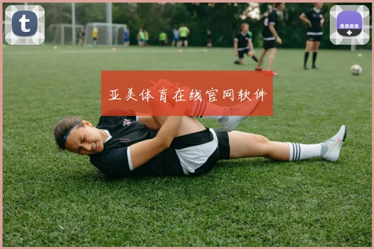 亚美体育在线官网软件