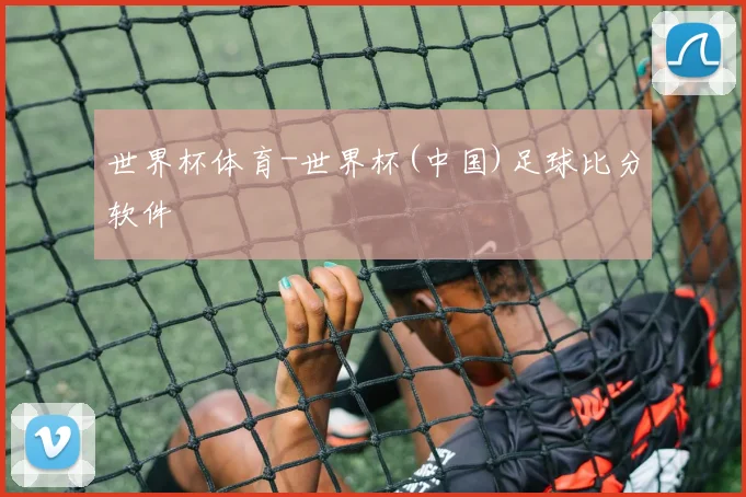 世界杯体育-世界杯(中国)足球比分软件