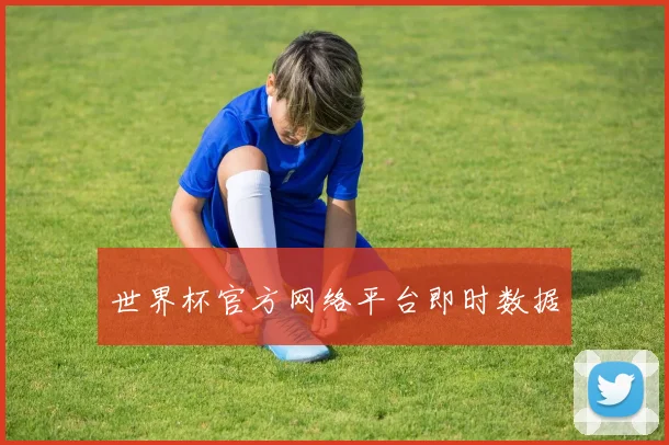 世界杯官方网络平台即时数据