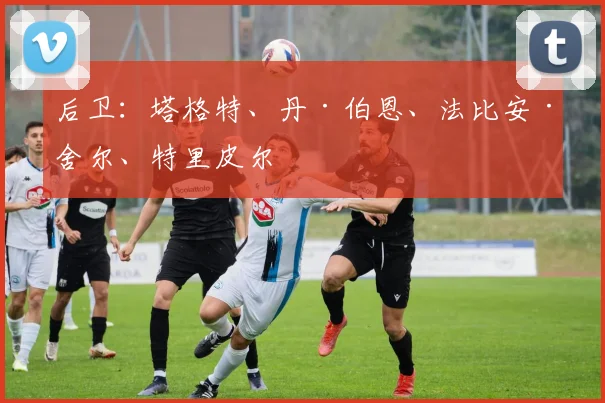 后卫:塔格特、丹·伯恩、法比安·舍尔、特里皮尔