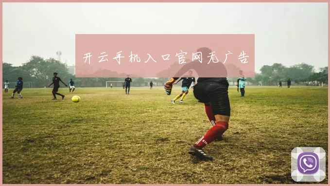 开云手机入口官网无广告