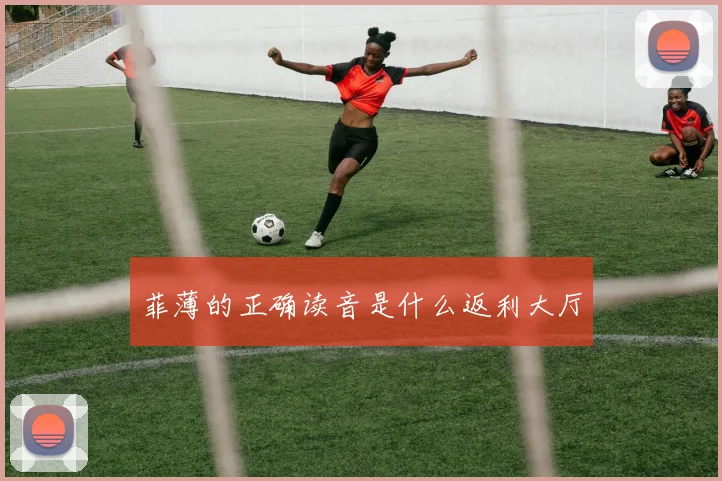 菲薄的正确读音是什么返利大厅