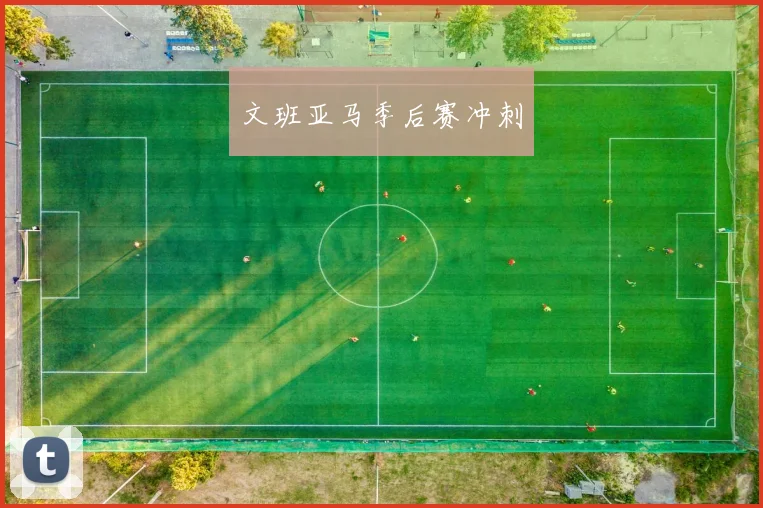 文班亚马季后赛冲刺