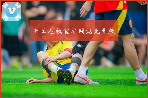 开云在线官方网站免费版