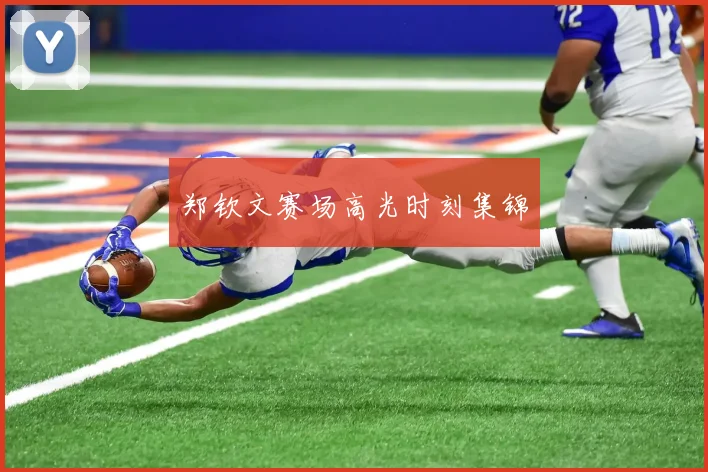 郑钦文赛场高光时刻集锦