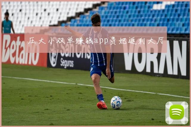 压大小双单赚钱app贵妃返利大厅