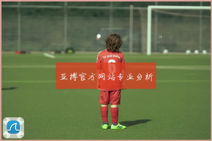 亚搏官方网站专业分析