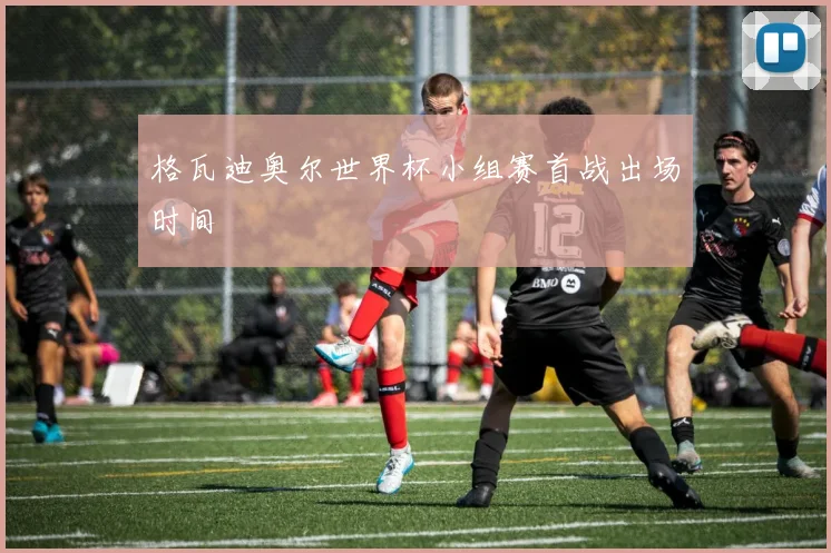 格瓦迪奥尔世界杯小组赛首战出场时间