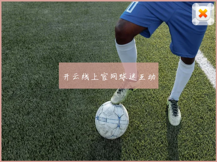 开云线上官网球迷互动