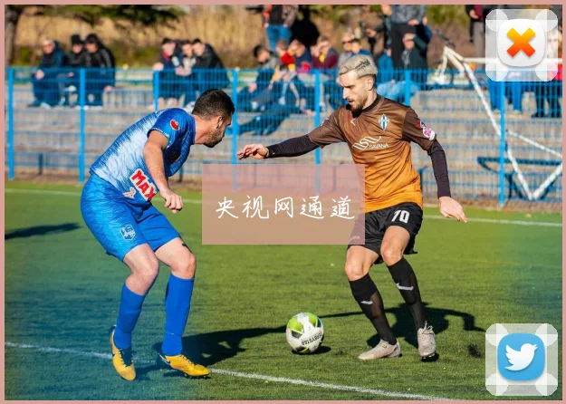 央视网通道