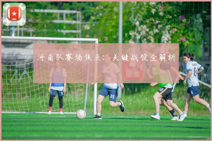 河南队赛场焦点：关键战役全解析