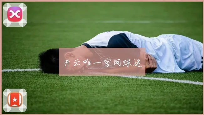开云唯一官网球迷
