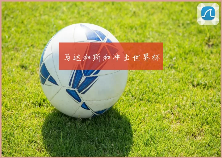 马达加斯加冲击世界杯