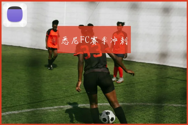 悉尼FC赛季冲刺