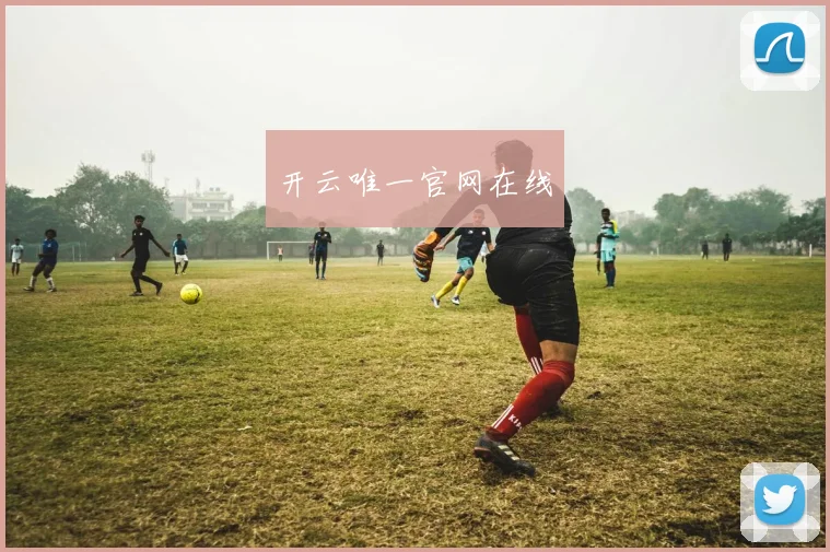 开云唯一官网在线