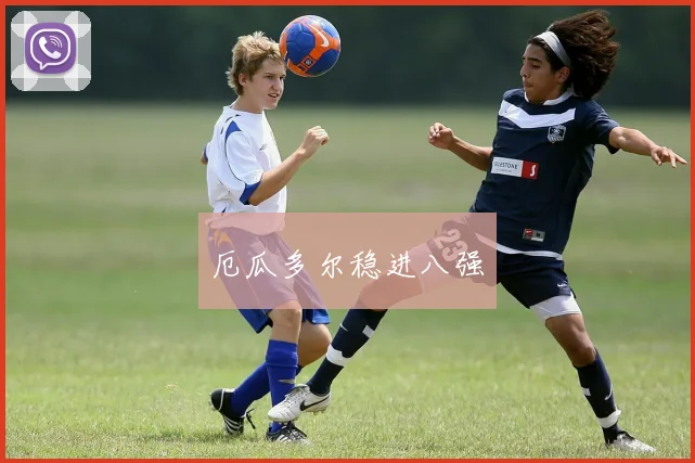 厄瓜多尔稳进八强
