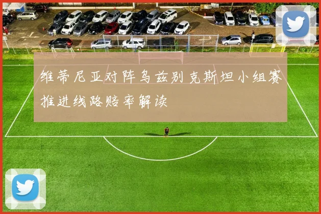维蒂尼亚对阵乌兹别克斯坦小组赛推进线路赔率解读