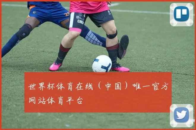 世界杯体育在线（中国）唯一官方网站体育平台