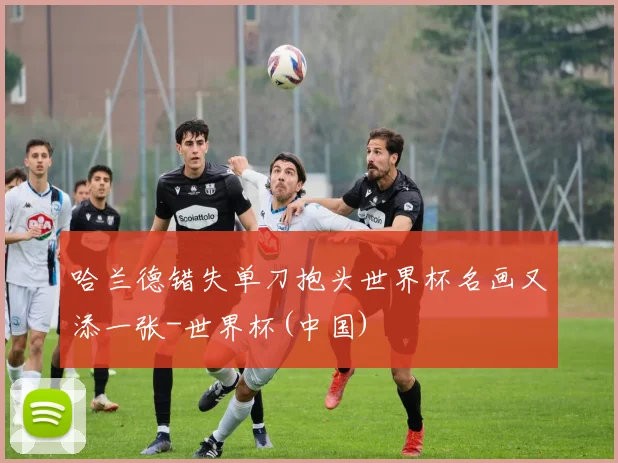 哈兰德错失单刀抱头世界杯名画又添一张-世界杯(中国)