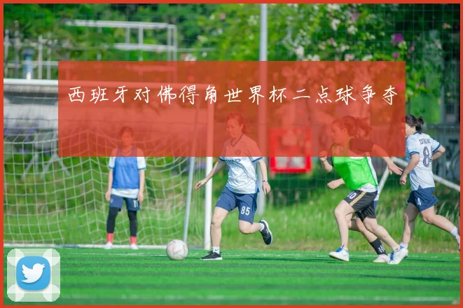 西班牙对佛得角世界杯二点球争夺