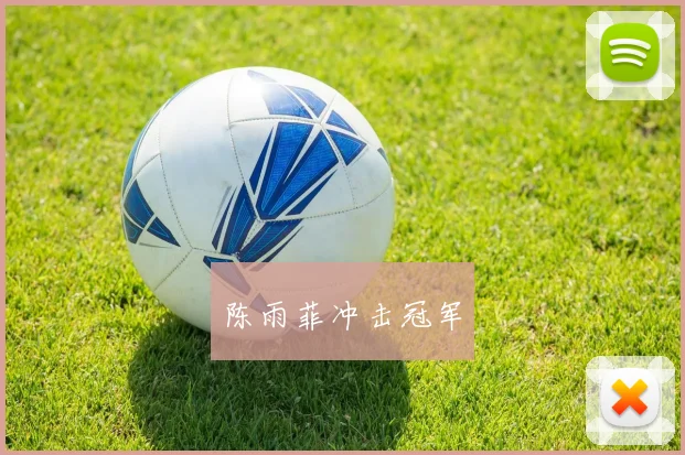 陈雨菲冲击冠军