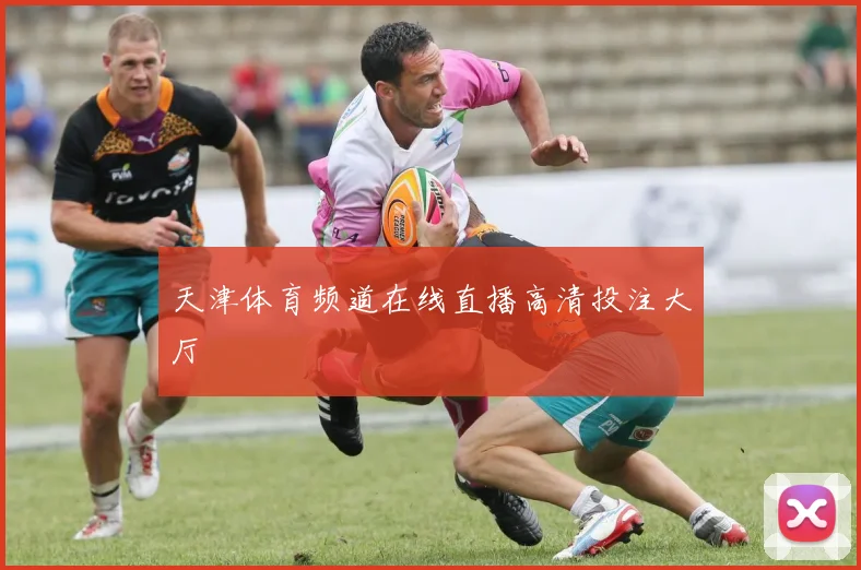 天津体育频道在线直播高清投注大厅