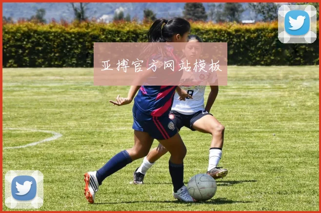 亚搏官方网站模板