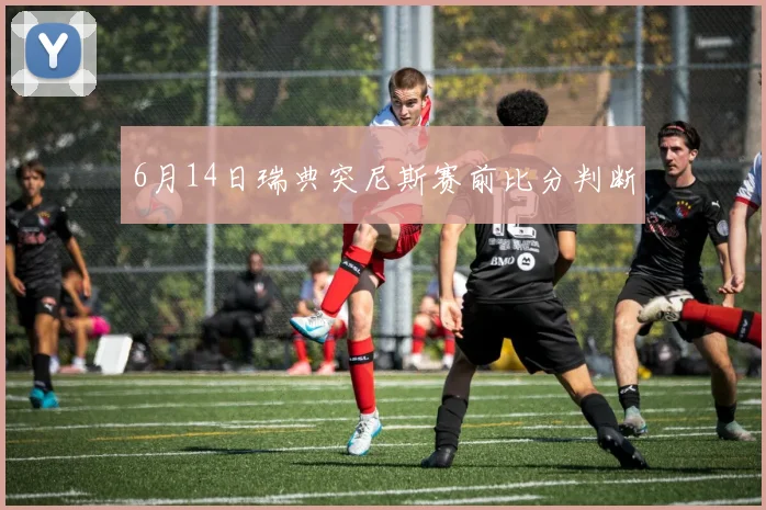 6月14日瑞典突尼斯赛前比分判断