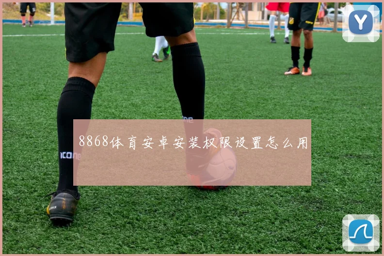8868体育安卓安装权限设置怎么用