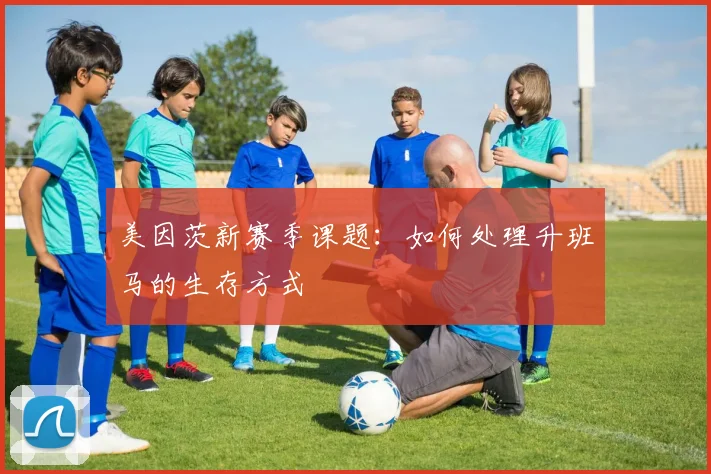 美因茨新赛季课题：如何处理升班马的生存方式