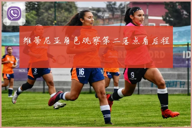 维蒂尼亚角色观察第二落点看后程