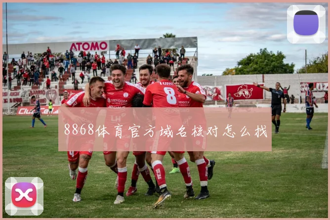 8868体育官方域名核对怎么找