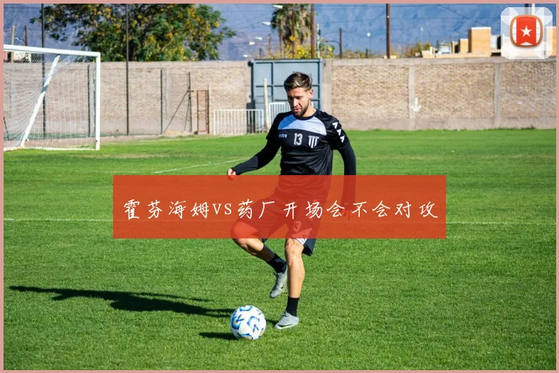 霍芬海姆vs药厂开场会不会对攻
