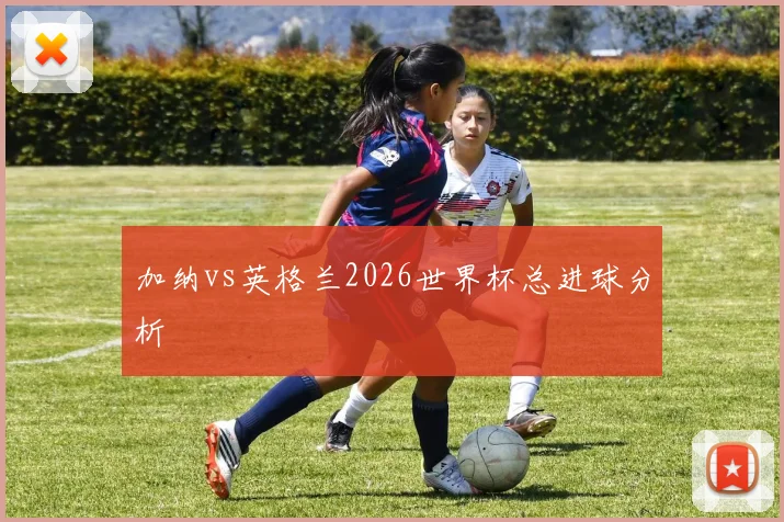 加纳vs英格兰2026世界杯总进球分析
